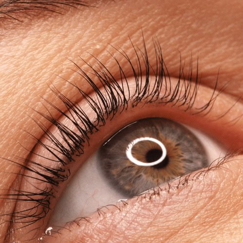 Beautiful Results Form Lash Lifting In Houston, Tx - Dermaluxe Spa Houston Tx - Come Get Your Lash Lift Today From Dermaluxe Spa In Houston Tx